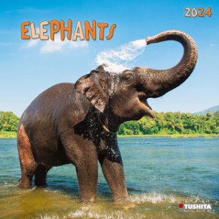 Elephant Families 2024