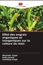 Effet des engrais organiques et inorganiques sur la culture du ma?s