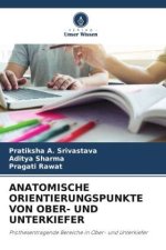 ANATOMISCHE ORIENTIERUNGSPUNKTE VON OBER- UND UNTERKIEFER