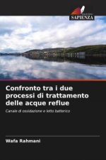 Confronto tra i due processi di trattamento delle acque reflue