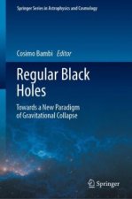 Regular Black Holes