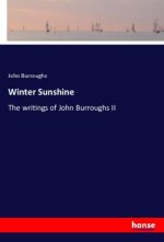 Winter Sunshine