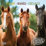 Horses/Pferde 2024