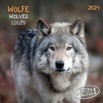 Wolves/Wölfe 2024
