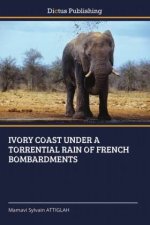 IVORY COAST UNDER A TORRENTIAL RAIN OF FRENCH BOMBARDMENTS