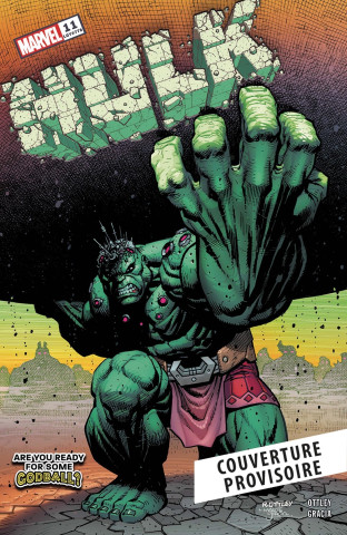 Hulk T02