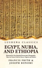 Egypt, Nubia, and Ethiopia Illustrated by One Hundred Stereoscopic Photographs, Taken by Francis Frith for Messrs. Negretti and Zambra