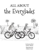 All about the Everglades