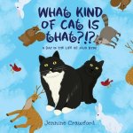 What Kind of Cat is That?!?: A Day in the Life of Jojo Bynx