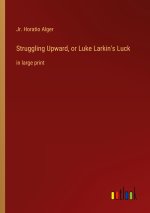 Struggling Upward, or Luke Larkin's Luck