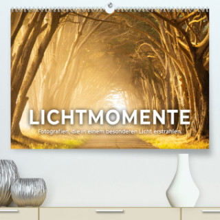 Lichtmomente - Fotografien, die in einem besonderen Licht erstrahlen. (Premium, hochwertiger DIN A2 Wandkalender 2024, Kunstdruck in Hochglanz)