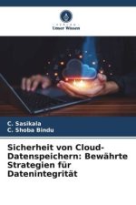 Sicherheit von Cloud-Datenspeichern: Bewährte Strategien für Datenintegrität