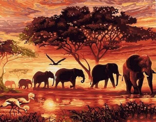 Malování podle čísel - Sloni v západu slunce 40 x 50 cm (s rámem)