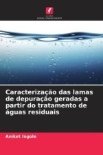 Caracterizaç?o das lamas de depuraç?o geradas a partir do tratamento de águas residuais