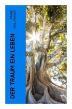 Der Traum ein Leben