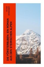 Die Försterbuben: Ein Roman aus den steirischen Alpen