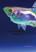 Aquarienpflege für Anfänger