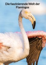 Die faszinierende Welt der Flamingos
