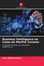 Business Intelligence na Costa do Marfim Turismo