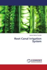 Root Canal Irrigation System
