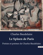 Le Spleen de Paris