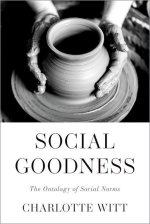 Social Goodness The Ontology of Social Norms (Hardback)