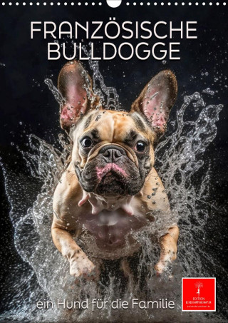 Französische Bulldogge - ein Hund für die Familie (Wandkalender 2024 DIN A3 hoch)