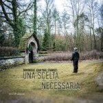 scelta necessaria