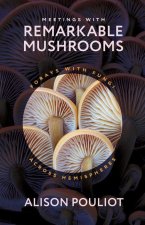 Meetings with Remarkable Mushrooms – Forays with Fungi across Hemispheres