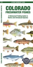 Colorado Freshwater Fishes: A Waterproof Folding Guide to Native and Introduced Species