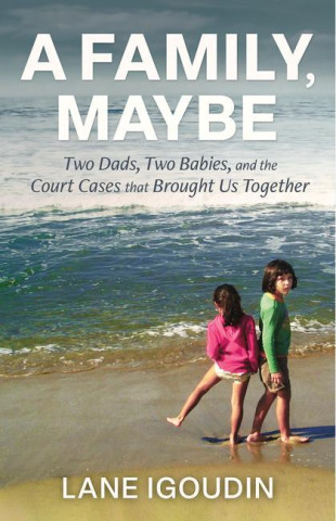 A Family, Maybe: Two Dads, Two Babies, and the Court Cases That Brought Us Together