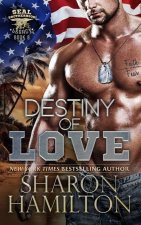 Destiny of Love: Protecting The Innocent