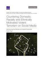 Countering Domestic Racially and Ethnically Motivated Violent Terrorism on Social Media: Introducing the Racist and Violent Extremist Flock Tool