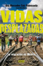 Vidas Desplazadas. Historia de la Migración En México