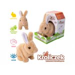 Króliczek na baterie 117041 mix