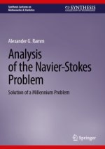 Analysis of the Navier-Stokes Problem