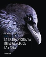 La extraordinaria inteligencia de las Aves