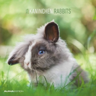 Kaninchen 2024 - Broschürenkalender 30x30 cm (30x60 geöffnet) - Kalender mit Platz für Notizen - Rabbits - Bildkalender - Wandplaner - Wandkalender