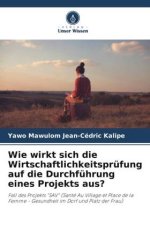 Wie wirkt sich die Wirtschaftlichkeitsprüfung auf die Durchführung eines Projekts aus?