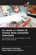 Le cause e i fattori di rischio della mortalità neonatale
