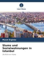 Slums und Sozialwohnungen in Istanbul