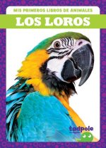 Los Loros (Parrots)