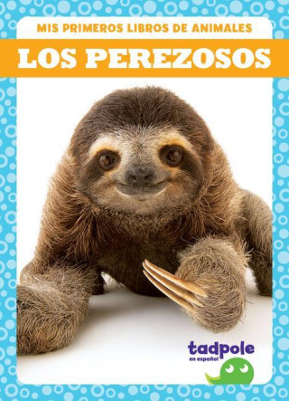 Los Perezosos (Sloths)