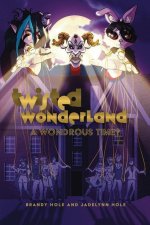 Twisted Wonderland: A Wondrous Time?