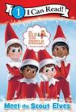 Elf on the Shelf: Meet the Scout Elves