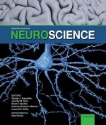 Neuroscience (Seventh Edition)