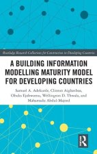 Building Information Modelling Maturity Model for Developing Countries
