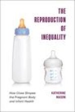 Reproduction of Inequality
