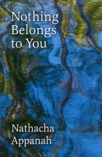 Nothing Belongs to You