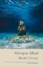 Octopus Mind